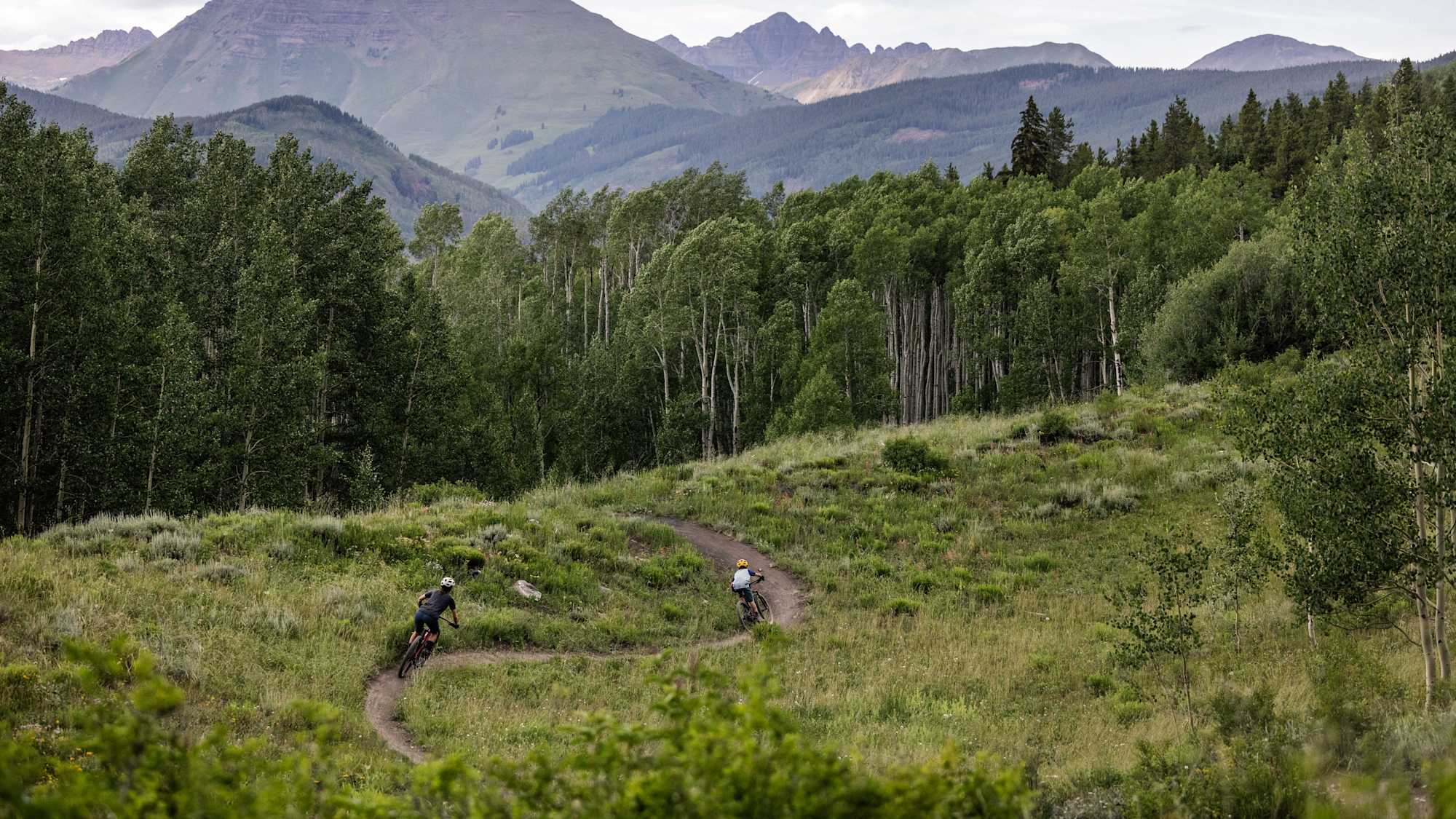 Zwei Mountainbiker auf einem Trail durch Bergwiesen mit Trek Marlin