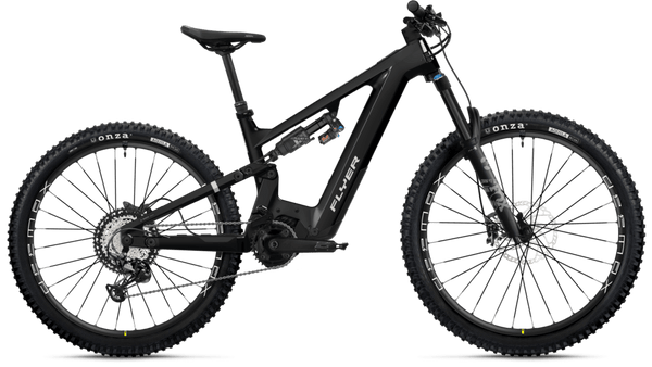 E-MTB Fully